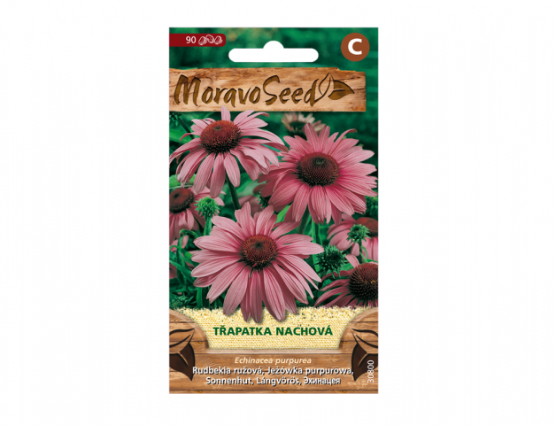 Třapatka nachová (Echinacea purpurea)