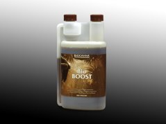 Canna BIO Boost 0,25l
