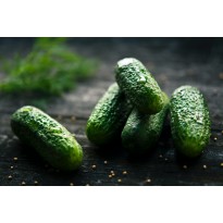 Okurka - Moravo Seed