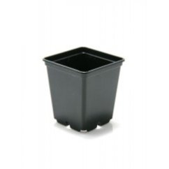 Mała czarna plastikowa doniczka TEKU 9x9x10cm w kształcie kwadratu z gładką powierzchnią i otworami odwadniającymi w dolnej części Mała czarna plastikowa doniczka TEKU 9x9x10cm w kształcie kwadratu z gładką powierzchnią i otworami odwadniającymi w dolnej części