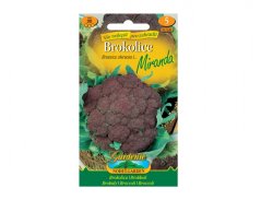 Brokolice Miranda