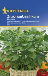 Pachet de semințe de busuioc de lămâie Kiepenkerl cu ambalaj albastru-galben, cu fotografie de plantă verde în coș, înconjurată de legume
