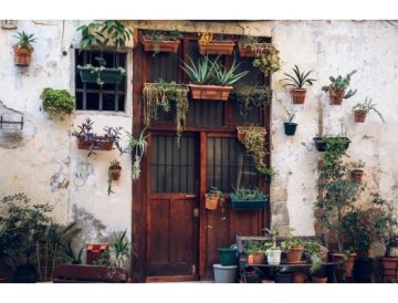 Dans quoi cultiver - types de contenants