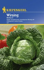 Hlávková kapusta Vertus - semena kapusty