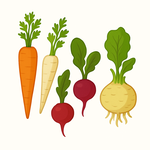 Semena podle způsobu pěstování – zahrada, balkon i skleník