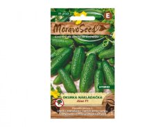 Farbige Samenpackung Gurke Einlegegurke Aloe F1 mit Bild grüner Früchte, Hybridsorte von MoravoSeed mit garantierter Qualität