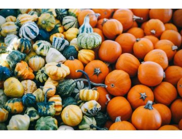Calabazas ornamentales multicolores