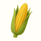 Kukuřice