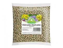 Hrách SEMINKO 500g - průhledný plastový sáček naplněný malými zelenými kulatými semínky hrachu značky Forestina s barevným etiketem