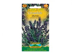 Paquete de semillas de Lavanda medicinal con imagen de flores púrpuras en tallos verdes, panel superior amarillo con texto, franja inferior verde de marca