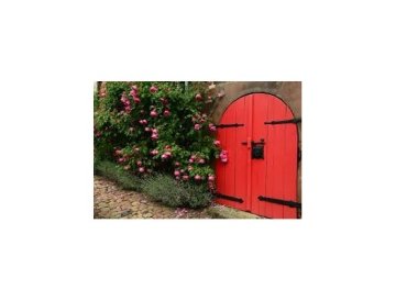 Les coins romantiques du jardin