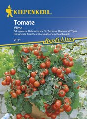 Balení semen rajčat cherry Vilma Kiepenkerl s modrým pozadím a fotografií zralých červených rajčátek na keři s číslem 2811 a označením Profi-Line