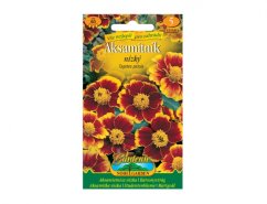 Zadenpakket lage afrikaantjes met bruin-gele bloemen op groene verpakking, afbeelding van kleurrijke oranje-rode tagetes patula bloemen