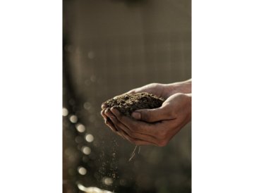 Jardinage pour débutants