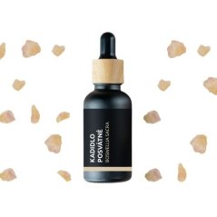Bottiglia di vetro nero con tappo in legno contenente olio essenziale BIO Incenso sacro, circondato da pezzi dorati di resina di incenso su sfondo bianco Bottiglia di vetro nero con tappo in legno contenente olio essenziale BIO Incenso sacro, circondato da pezzi dorati di resina di incenso su sfondo bianco