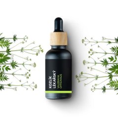 Dunkle Glasflasche mit Holzverschluss, enthält BIO-Baldrianöl, umgeben von grünen Zweigen mit kleinen weißen Blüten Dunkle Glasflasche mit Holzverschluss, enthält BIO-Baldrianöl, umgeben von grünen Zweigen mit kleinen weißen Blüten