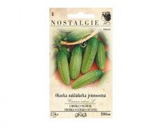 Okurka nakládačka jemnoostná Fatima