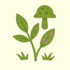 Nemoci a plísně rostlin