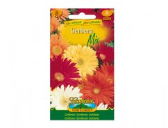 Seed packet Gerbera Mix with multicolored flowers - yellow, red, orange and white gerberas on packaging, Nohel Garden brand Seed packet Gerbera Mix with multicolored flowers - yellow, red, orange and white gerberas on packaging, Nohel Garden brand