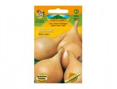 Cibule jarní žlutá VŠETANA