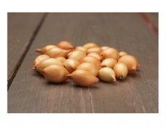 Cibule sazečka CORRADO F1 10kg 8-16mm