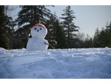 Calendrier de jardin - Février