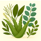 Exotické léčivé rostliny