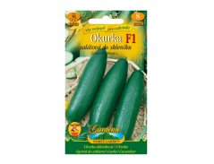 Okurka salátová do skleníku Vanda F1