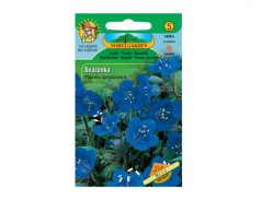 Phacelia campanularia - Svazenka modrá