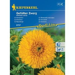 Zonnebloem Gefüllter Zwerg - oranje-gele gevulde bloem met dichte bloemblaadjes op groene steel, zaadzakje Kiepenkerl