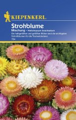 Semillas de siemprevivas en envase azul Kiepenkerl - mezcla de flores rosa, blanca, amarilla y naranja con pétalos parecidos al papel