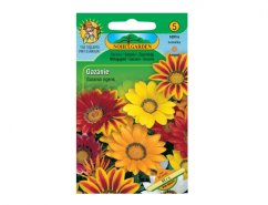 Kleurrijke verpakking van Gazania zaden met afbeeldingen van gele, oranje en rode bloemen op groene verpakking van Nohel Garden