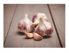 Česnek GERMIDOUR PURPLE 60+ fialový 500g 4-5ks