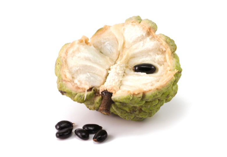 Anona šupinatá - Láhevník (Annona squamosa) 7 semen