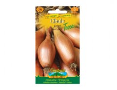 Balení semen cibule jarní žlutá dlouhá Tosca s oranžovo-zeleným designem, zobrazující tři dlouze oválné žluté cibule na barevné zahradnické obálce