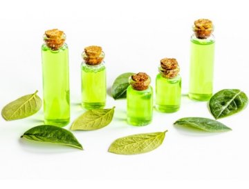Tea tree olej – účinky, použitie a tipy pre krásnu pleť aj vlasy (2025)Tea tree olej je jedným z najobľúbenejších prírodných prostriedkov v starostlivosti o pleť a vlasy. Tento éterický olej získavaný z austrálskeho stromu Melaleuca alternifolia sa už desaťročia používa pre svoje antibakteriálne, protizápalové a antiseptické účinky. Či už bojujete s akné, suchými vlasmi alebo chcete posilniť svoje zdravie, tea tree olej môže byť vaším spoľahlivým pomocníkom.Čo je tea tree olej a ako vzniká?Tea tree olej sa získava parnou destiláciou z listov austrálskeho čajovníkového stromu. Pôvodní obyvatelia Austrálie ho používali už stáročia ako prírodný liek na rôzne ochorenia. Dnes je tea tree olej celosvetovo uznávaný pre svoje liečivé vlastnosti a je základnou súčasťou mnohých kozmetických produktov.Hlavné účinné látkyLiečivá sila tea tree oleja spočíva v jeho zložení, ktoré obsahuje viac ako 100 rôznych zlúčenín. Najdôležitejšie sú:Terpinen-4-ol – hlavná účinná látka s antibakteriálnymi účinkami1,8-cineol – podporuje protizápalové vlastnostiα-terpineol – prispieva k antiseptickým účinkomÚčinky tea tree oleja na pleťTea tree olej je obzvlášť účinný v starostlivosti o problematickú pleť. Jeho prirodzené vlastnosti pomáhajú riešiť množstvo kožných problémov.Pomoc pri akné a pupienkovVďaka svojim antibakteriálnym účinkom tea tree olej efektívne bojuje proti baktériám spôsobujúcim akné. Štúdie ukazujú, že môže byť rovnako účinný ako niektoré chemické produkty, ale s menšími vedľajšími účinkami.Ako použiť:Zmiešajte 1-2 kvapky tea tree oleja s čajovou lyžičkou nosného oleja (kokosový, jojoba)Naneste bodovo na postihnuté miestaAplikujte večer pred spanímPoužite pravidelne, ale nepredávkujteLiečba mykóz a hubových infekciíTea tree olej má silné antifungálne vlastnosti, ktoré pomáhajú pri liečbe:Plesňových infekcií nôhNechtovej mykózyKandidózyLupienky a ekzémovUpokojenie podráždenia a zápalovProtizápalové účinky tea tree oleja ho robia ideálnym pre upokojenie začervenej a podráždenia pleti. Pomáha pri:Podráždení po holeníPopáleninách od slnka (v zriedenom stave)Uštipnutí hmyzomDrobných ranách a škrabancochTea tree olej pre zdravé vlasyOkrem pleti prináša tea tree olej výrazné benefity aj pre starostlivosť o vlasy a pokožku hlavy.Riešenie lupín a suchej pokožky hlavyTea tree olej efektívne bojuje proti lupinám vďaka svojim antifungálnym a antibakteriálnym vlastnostiam. Pomáha regulovať tvorbu kožného mazu a upokojuje svrbenie.Tip na použitie:Pridajte 5-10 kvapiek tea tree oleja do vášho šampónuAlebo vytvorte masážny olej: 2 lyžice kokosového oleja + 10 kvapiek tea tree olejaVmasírujte do pokožky hlavy a nechajte pôsobiť 15-20 minútDôkladne vypláchnitePodpora rastu vlasovZdravá pokožka hlavy je základom pre silné a krásne vlasy. Tea tree olej pomáha:Odstraňovať odumreté bunky pokožkyZlepšovať prekrvenie pokožky hlavyUvoľňovať vlasové folikulyPodporovať zdravý rast vlasovProti mastným vlasomPre tých, ktorí trpia nadmernou tvorbou mazu, tea tree olej pomáha regulovať činnosť mazových žliaz a udržiava vlasy čisté a svieže po dlhšiu dobu.Ďalšie využitie tea tree olejaÚstna hygienaTea tree olej môže pomôcť pri:Zápachu z úst – pridajte kvapku do vody na vyplachovanieZápaloch ďasien – jemne naneste zriedený olej na postihnuté miestaAfty – bodová aplikácia urýchli hojenieUpozornenie: Tea tree olej je len na vonkajšie použitie, neprehltnite ho!Prírodný dezinfekčný prostriedokVďaka svojim antiseptickým vlastnostiam je tea tree olej vynikajúci na:Čistenie drobných ránDezinfekciu rúk (v kombinácii s aloe vera gélom)Čistenie domácnosti – pridajte do čistiacich roztokovAromaterapia a relaxáciaTea tree olej sa využíva aj v aromaterapii pre svoje osviežujúce a upokojujúce účinky:Použite v aromalampách alebo difuzérochPodporuje čistý vzduchPomáha pri dýchacích problémochPosilňuje imunitný systémAko správne používať tea tree olejDôležité zásady bezpečnostiTea tree olej je silný prírodný prostriedok, preto je potrebné dodržiavať určité zásady:Nikdy nepoužívajte nerozriedený – koncentrovaný olej môže spôsobiť podráždenieOtestujte alergickú reakciu – aplikujte malé množstvo na vnútornú stranu zápästiaLen na vonkajšie použitie – neprehltnite, je toxickýUchovávajte mimo dosahu detíSkladujte na tmavom mieste – v tmavej fľaštičke chránený pred svetlomTehotné a dojčiace ženy – pred použitím konzultujte s lekáromAko správne rieďiť tea tree olejPre bezpečné použitie na pleti:Pleť tváre: 1-2% koncentrácia (1-2 kvapky na čajovú lyžičku nosného oleja)Telo: 2-3% koncentráciaŠampón: 5-10 kvapiek na 100 ml produktuKúpeľ: 10-15 kvapiek zmiešaných s mliekom alebo medomNajlepšie nosné oleje na zmiešanieKokosový olej – ideálny pre pleť aj vlasyJojobový olej – podobný prirodzenému mazu pokožkyMandľový olej – jemný, vhodný pre citlivú pleťOlivový olej – výživný, vhodný pre suché vlasyArganový olej – luxusná voľba pre Anti-age starostlivosťRecepty s tea tree olejomDomáci pleťový tonikum proti aknéIngrediencie:100 ml destilovanej vody alebo ružovej vody5 kvapiek tea tree oleja3 kvapky levandulového oleja1 lyžička jablčného octu (voliteľné)Postup: Zmiešajte všetky ingrediencie vo fľaštičke so sprejom. Používajte ráno a večer po očistení pleti. Pred použitím pretrepte.Maska na vlasy proti lupinámIngrediencie:3 lyžice kokosového oleja10 kvapiek tea tree oleja5 kvapiek rozmarínového olejaPostup: Zmiešajte, jemne zohrejte v rukách a vmasírujte do pokožky hlavy. Nechajte pôsobiť 20-30 minút, potom dôkladne vypláchnite šampónom.Upokojujúci kúpeľIngrediencie:1 šálka himalájskej soli alebo epsom soli10-15 kvapiek tea tree oleja2 lyžice mlieka alebo medu (na rozptýlenie oleja)Postup: Zmiešajte soľ s olejom a mliekom, pridajte do teplej vody. Kúpeľ pomáha upokojniť pokožku a relaxovať telo.Ako vybrať kvalitný tea tree olejNa trhu existuje veľké množstvo produktov, preto je dôležité vedieť, na čo sa zamerať:Znaky kvalitného oleja100% čistý éterický olej – bez prímesí a syntetických látokLatinský názov: Melaleuca alternifoliaTmavá sklená fľaštička – chráni pred svetlomKrajina pôvodu: ideálne AustráliaCertifikácia: bio kvalita, terapeutická kvalitaObsah terpinen-4-ol: minimálne 30%Obsah 1,8-cineol: maximálne 15%Na čo si dať pozorPríliš nízka cena môže značiť zriedenú kvalituPlastové obaly znižujú kvalitu olejaNejasné označenie zloženiaChýbajúce informácie o pôvodeVedľajšie účinky a kontraindikácieHoci je tea tree olej prírodný produkt, nie je úplne bez rizík:Možné vedľajšie účinkyPodráždenie pokožky – najmä pri nerozriedenom použitíAlergická reakcia – začervenanie, svrbenie, vyrážkaKontaktná dermatitída – pri citlivej pokožkeSuchosť pokožky – pri nadmernom používaníKedy tea tree olej nepoužívaťPri známej alergii na zložky olejaNa poškodenej alebo veľmi podráždenia pokožkeV blízkosti očí a sliznícVnútorne – je toxickýU domácich z