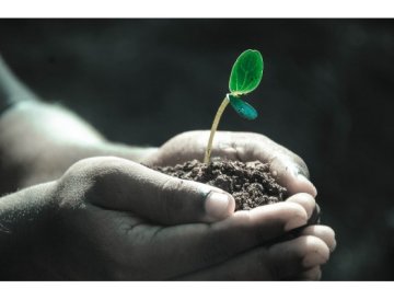 Garden Soil