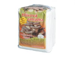 Hlíva ústřičná HLÍVOVÁ ZAHRÁDKA 6kg