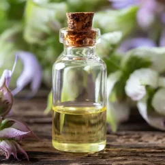 Kleine Glasflasche mit gelbem Öl und Korkverschluss, zwischen grünen und violetten Salbeiblättern platziert