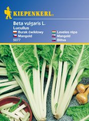 Mangold Lukullus- semena mangoldu