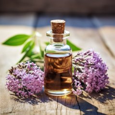 Glas-Fläschchen mit Korken, gefüllt mit bernsteinfarbigem Bio-Essenzöl aus Baldrian, auf Holzuntergrund zwischen violetten Blüten platziert Glas-Fläschchen mit Korken, gefüllt mit bernsteinfarbigem Bio-Essenzöl aus Baldrian, auf Holzuntergrund zwischen violetten Blüten platziert