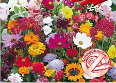 Květinová symfonie rezistentní šnekům