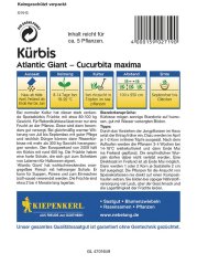 Tekvica Atlantic Giant - semená tekvice