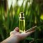 Calamus - 100% přírodní esenciální olej (10ml) - Pěstík