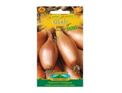 Spring onion seed package Yellow Long Tosca with orange-green design, showing three long oval yellow onions on colorful gardening envelope