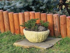 Keramické koryto K1 imitace kamene žluté barvy kruhového tvaru o průměru 31cm s vysazenou rostlinou, umístěné na dřevěném podstavci