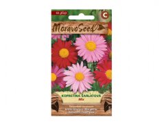 Tanacetum coc kopretina šarlatová