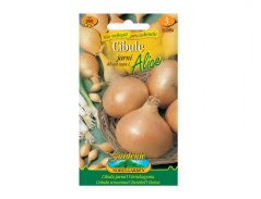 Cibule jarní žlutá Alice