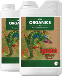 Advanced Nutrients OG Organics Iguana Juice Bloom organické květové hnojivo v bílých plastových obalech s hnědozelenými etiketami s iguánou Advanced Nutrients OG Organics Iguana Juice Bloom organické květové hnojivo v bílých plastových obalech s hnědozelenými etiketami s iguánou