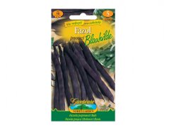 Fazol pnoucí Blauhilde
